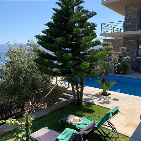 Villa Muse อายิโอสนิโกลาโอส ภายนอก รูปภาพ