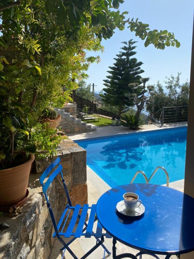 Villa Muse อายิโอสนิโกลาโอส ภายนอก รูปภาพ